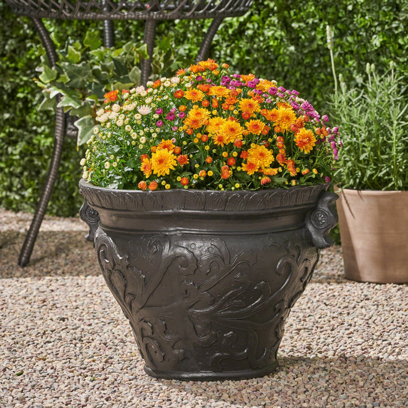 Fleur De Lis Living Gish Concrete Pot Planter & Reviews Wayfair